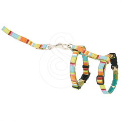 Ensemble harnaislaisse chat Hunter