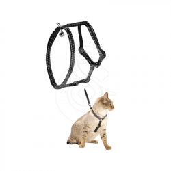 Ensemble harnaislaisse chat Bobby Safe
