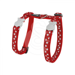 Ensemble harnais  laisse chat Red Dingo