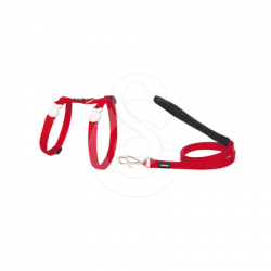 Ensemble harnais  laisse chat Red Dingo