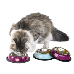 Gamelle en inox laqué pour chat