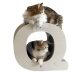Griffoir Homycat