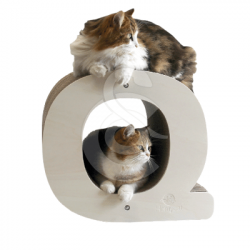 Griffoir Homycat