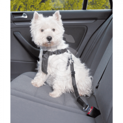 Harnais de sécurité voiture pour chien