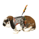 Harnais pour lapin