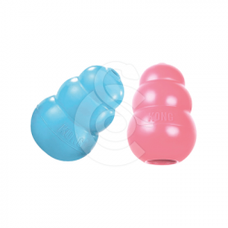 Kong Puppy