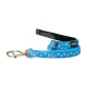 Laisse Red Dingo