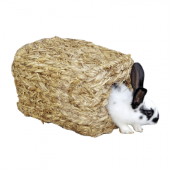 Maisonnette végétale pour lapins nains cochon d'inde...