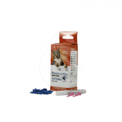 Protègegriffe Griffe Masquée pour chaton