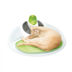 Station de relaxation Catit Senses 2.0 pour chat