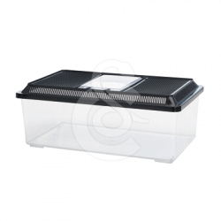 Terrarium Fauna Box Low