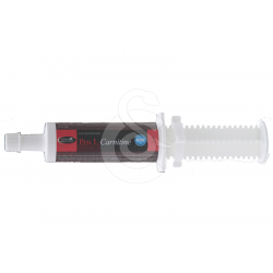 POMMIER-NUTRITION Pro L Carnitine