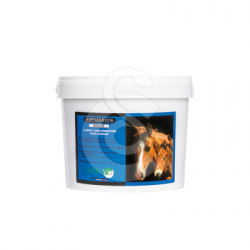 Hippiagreen Mobilité