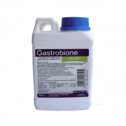 GASTROBIONE 500 ML