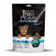 Dental Probar Small & Mini