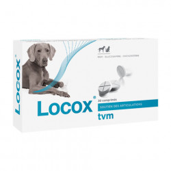 TVM Locox