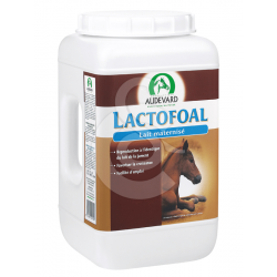 AUDEVARD Lactofoal