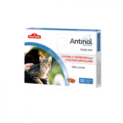 Antinol chat