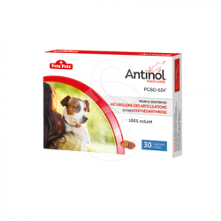Antinol chien