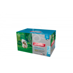 BAYER Advantix Petit Chien de 4 à 10 kg