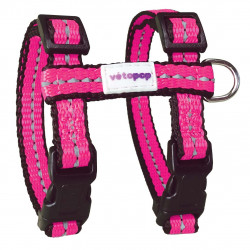 Harnais Chat Pop