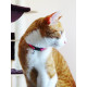 Collier Chat Pop