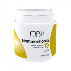 Montmorillonite