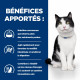 Prescription Diet i/d AB+ croquettes pour chat
