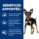 HILL'S Prescription Diet Metabolic Mini Croquettes pour petit Chien au Poulet 1 kg