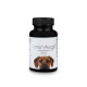 AminAvast Chiens