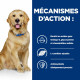 HILL'S Prescription Diet J/D Mobility croquettes pour chien