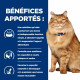 HILL'S Prescription Diet K/D J/D Kidney + Mobility Poulet croquettes pour chat