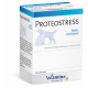 WAMINE Wamine Proteostress PA