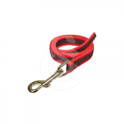 Laisse Difac Color Gomme
