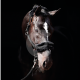 Licol ClassicSoft en nylon pour chevaux