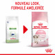 Cat Kitten Royal Canin