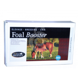 POMMIER-NUTRITION Foal Booster
