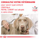 Veterinary Diet Dog Urinary S/O Small Dog