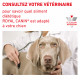 Veterinary Diet Dog Urinary SO Sachet repas