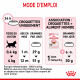 Cat Kitten Royal Canin