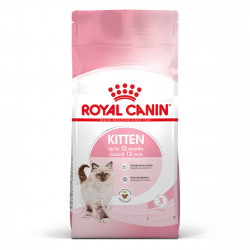 Cat Kitten Royal Canin