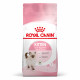 Cat Kitten Royal Canin