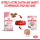 Cat Kitten Royal Canin Mousse Sachet repas