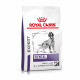 Veterinary Diet Dog Dental Medium Large