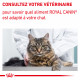Veterinary Diet Cat Dental