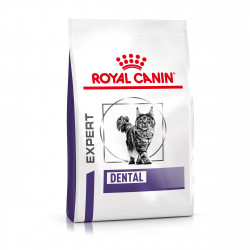 Veterinary Diet Cat Dental