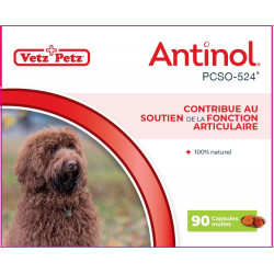 Antinol chien