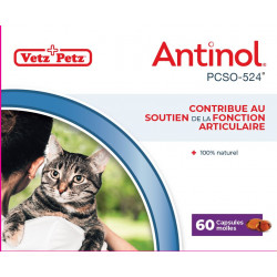 ANTINOL CT 30 CAPSULES