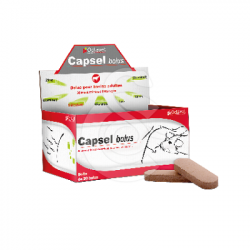Capsel