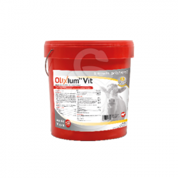 Olixium Vit